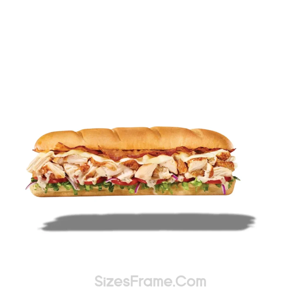 footlong-subway-sandwich-12-inches-long
