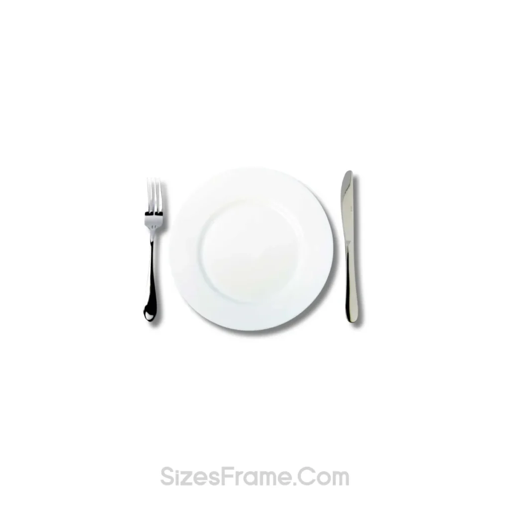 standard-dinner-plate-11-inches-long