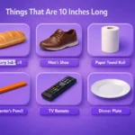 things-that-are-10-inches-long