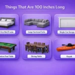 things-that-are-100-inches-long