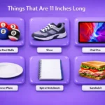 things-that-are-11-inches-long