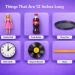 things-that-are-12-inches-long