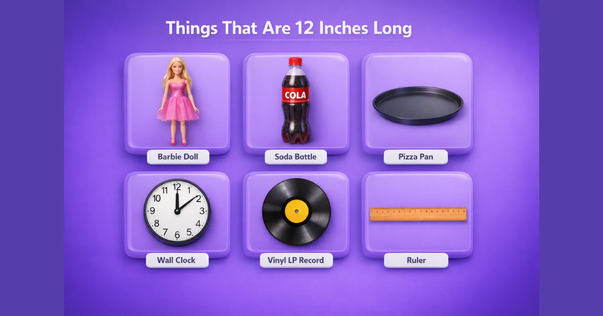 things-that-are-12-inches-long