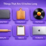 things-that-are-13-inches-long