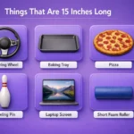 How Long Is 15 Inches? 8 Real-Life Examples With Pictures 2026 things-that-are-15-inches-long