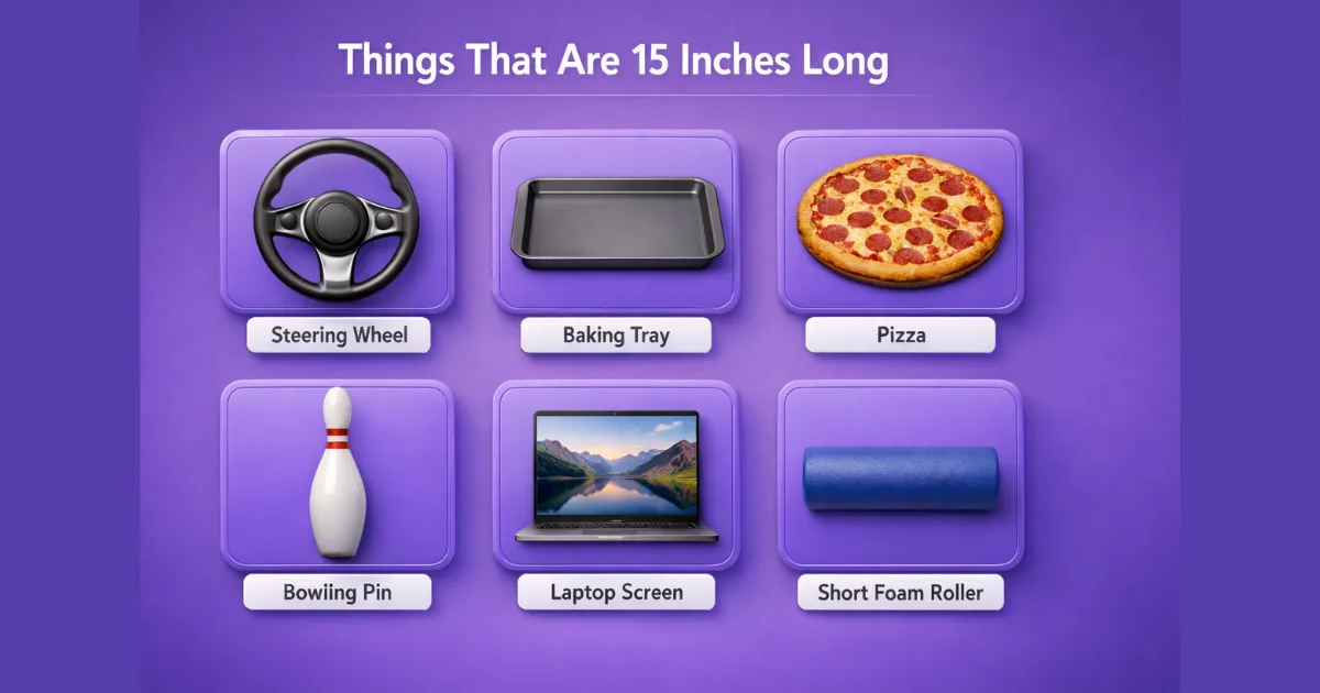 things-that-are-15-inches-long