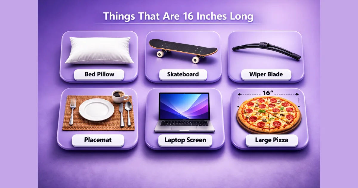 things-that-are-16-inches-long