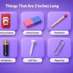 things-that-are-2-inches-long