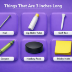 things-that-are-3-inches-long