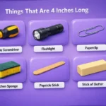 things-that-are-4-inches-long