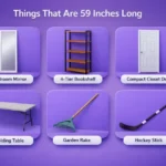 How Long Is 59 Inches? 8 Real-Life Examples With Pictures 2026 things-that-are-59-inches-long