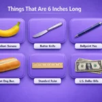 things-that-are-6-inches-long