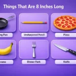 things-that-are-8-inches-long