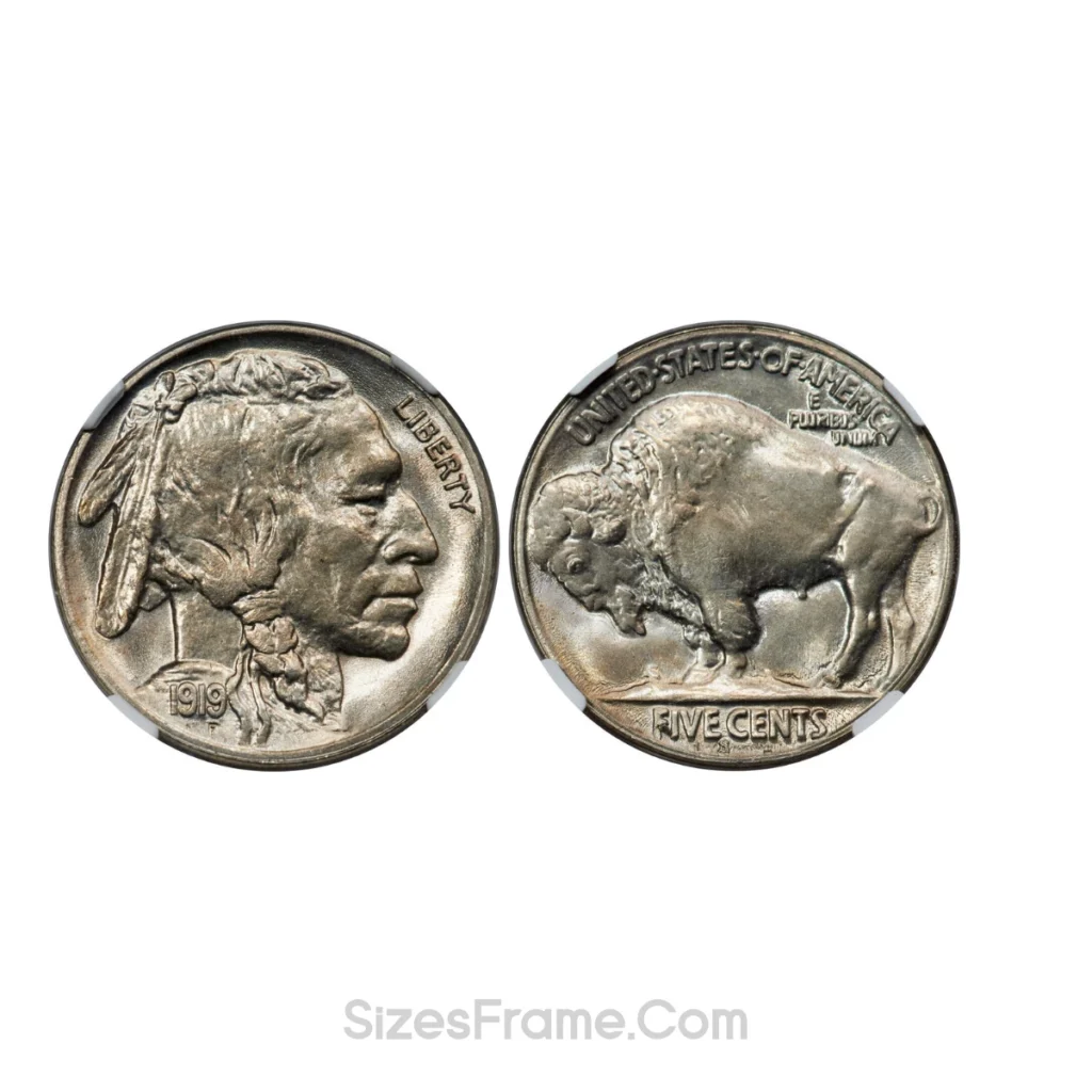20-us-nickels-100-grams-weight