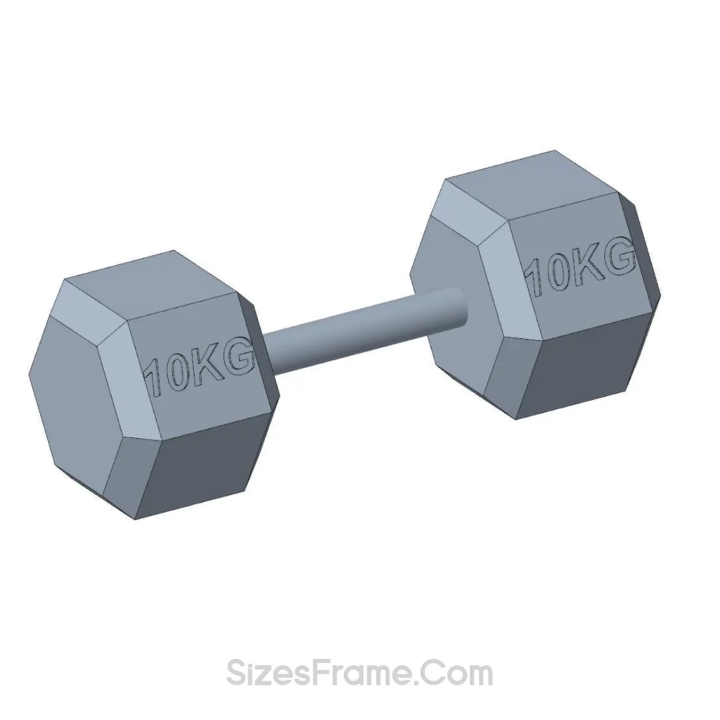dumbbell-10-kg-weight