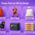 things-that-are-100-kg-weigh