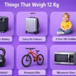 things-that-are-12-kg-weigh