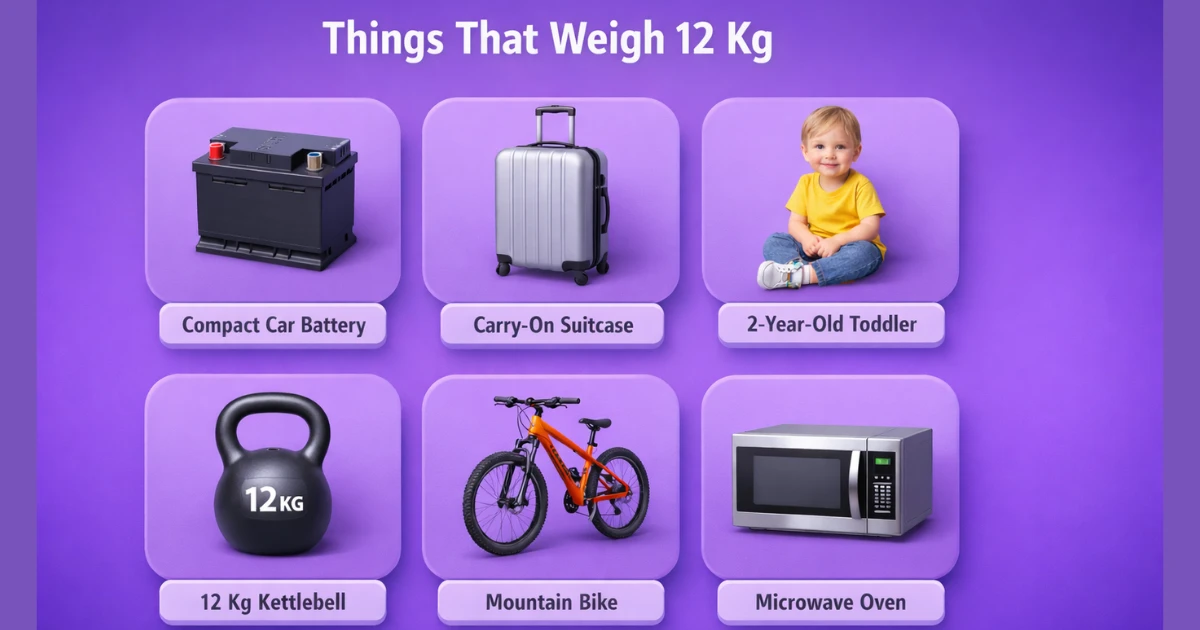 things-that-are-12-kg-weigh