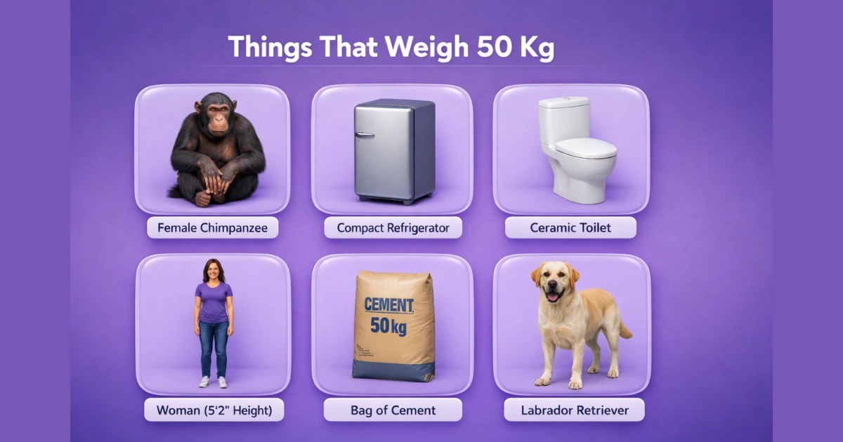 things-that-are-50-kg-weigh