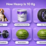 things-that-weigh-10-kg