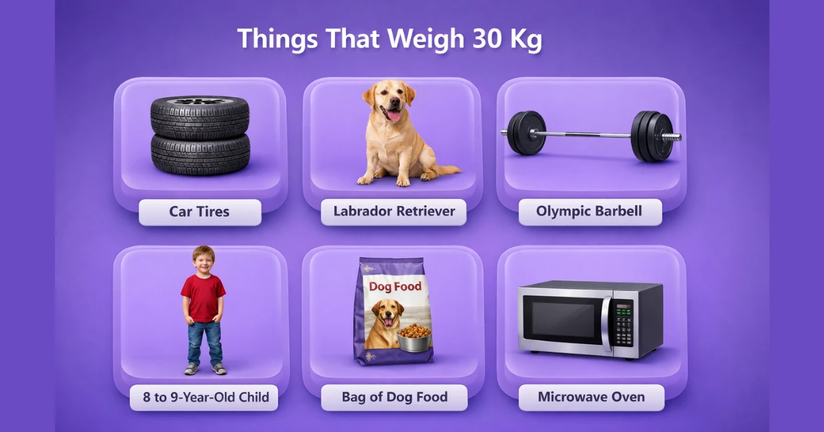 things-that-weigh-30-kg