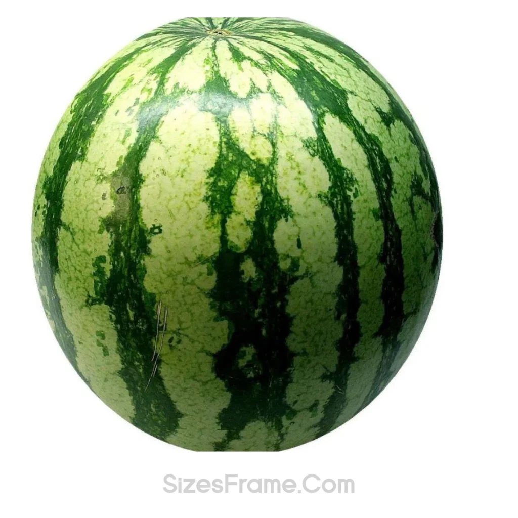 watermelon-10-kg-weight