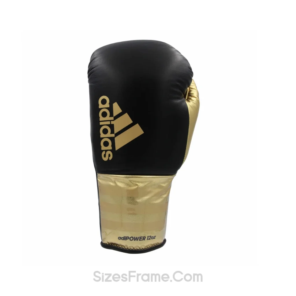 single-pro-boxing-glove-10-oz-weight