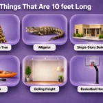 things-that-are-10-feet-long