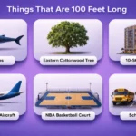 things-that-are-100-feet-long