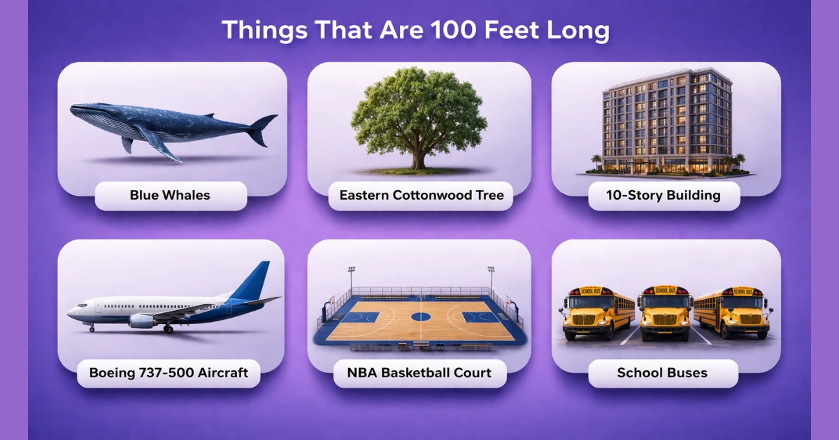 things-that-are-100-feet-long