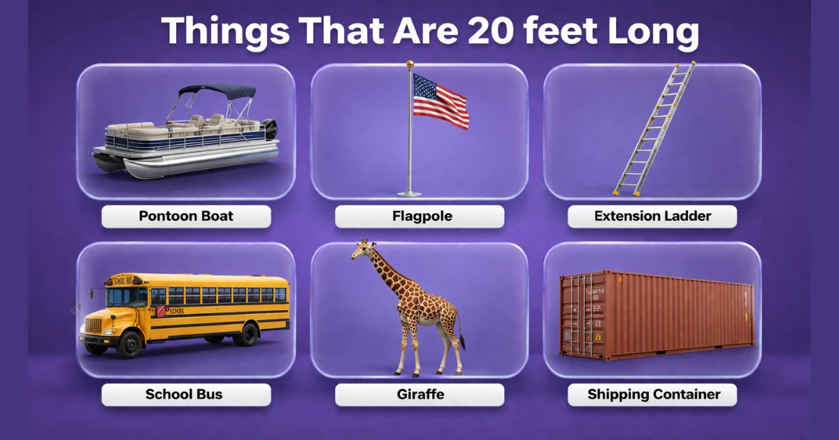 things-that-are-20-feet-long