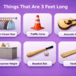 things-that-are-3-feet-long
