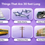 things-that-are-30-feet-long
