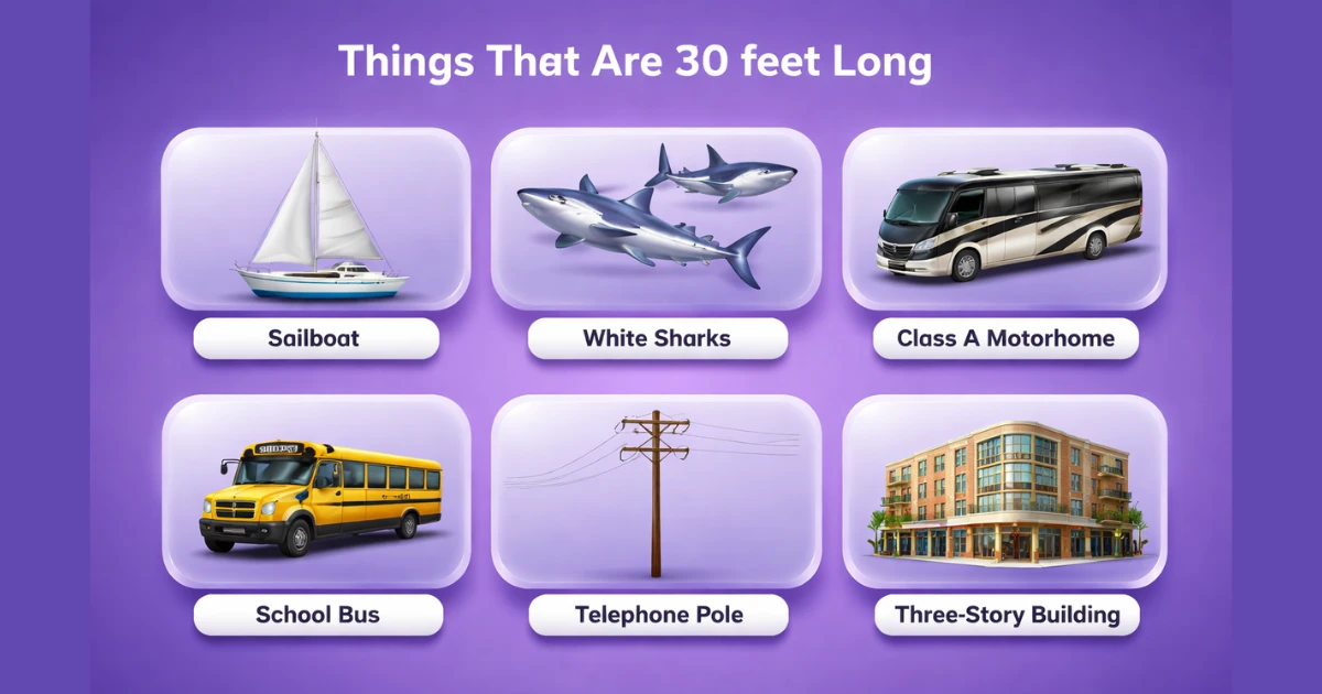 things-that-are-30-feet-long