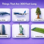 things-that-are-300-feet-long