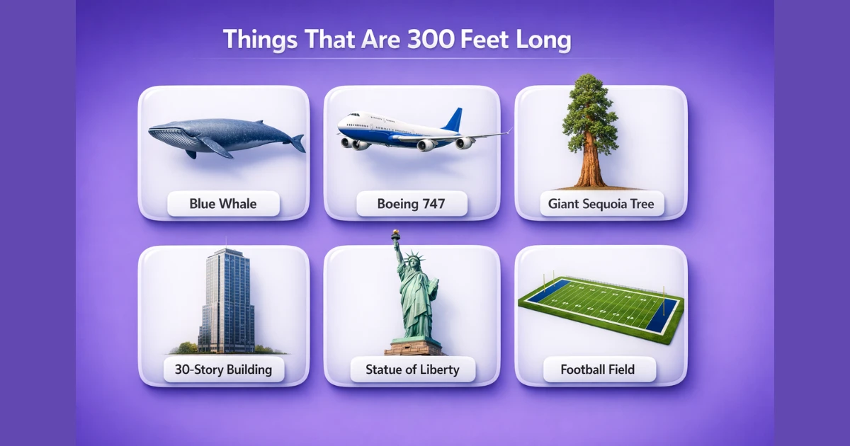 things-that-are-300-feet-long