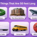 things-that-are-50-feet-long