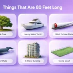 things-that-are-80-feet-long