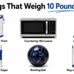 things-that-weigh-10-pounds