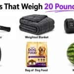 things-that-weigh-20-pounds