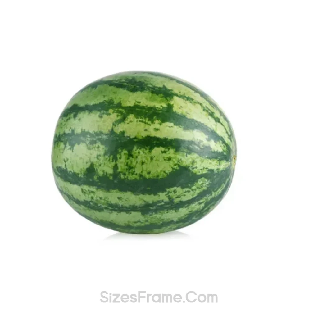 watermelon-20-lbs-weight