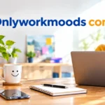 Onlyworkmoods com: What This Website Really Is (Full Review) onlyworkmoods-com